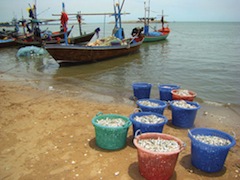 426-thailand-tsunami-fishing